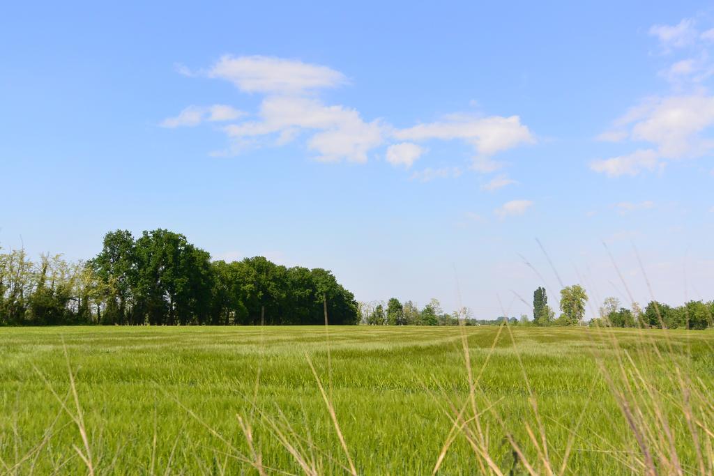 Agriturismo Cascina Mora Pavia Buitenkant foto